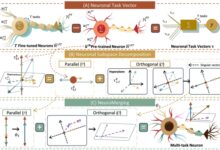XMUM Students Achieve Recognition at Prestigious EMNLP 2025 AI Conference - AppliedHE