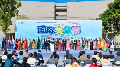 BNU Zhuhai International Cultural Festival 2025: Embracing Diverse Cultures and Youthful Connections - AppliedHE