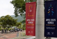 China Daily Interviews NJU Scholar on APEC Economic Leaders' Meeting and Green Transition - AppliedHE