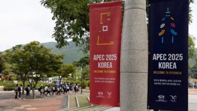 China Daily Interviews NJU Scholar on APEC Economic Leaders' Meeting and Green Transition - AppliedHE