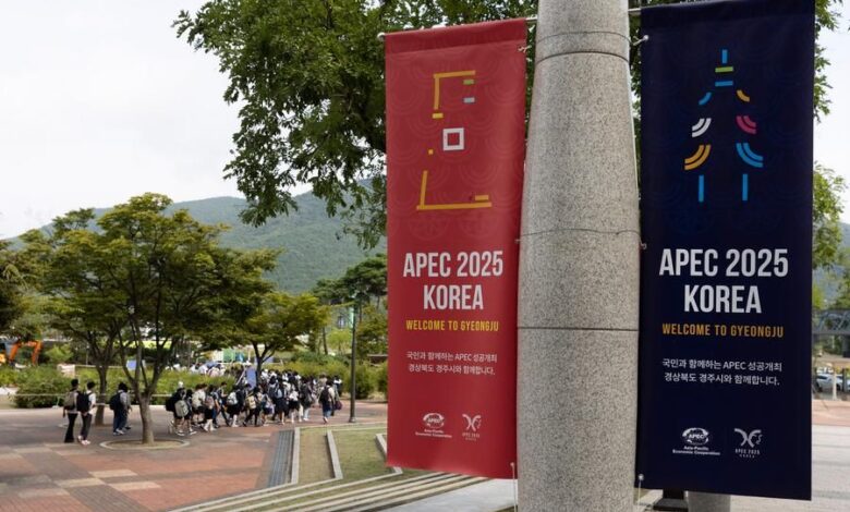 China Daily Interviews NJU Scholar on APEC Economic Leaders' Meeting and Green Transition - AppliedHE