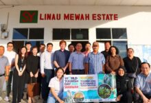 Curtin University Malaysia Enhances Industry-Academia Collaboration with Palm Oil Site Visit in Miri - AppliedHE