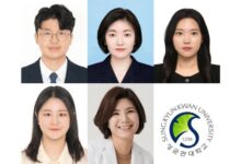 Professor Jungho Ahn's Team Creates Groundbreaking Patient-Specific Endometrium-on-a-Chip for Infertility Treatment - AppliedHE