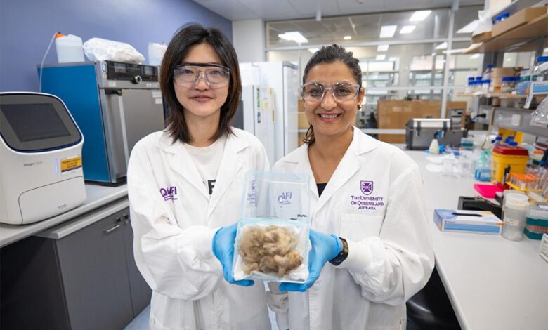 Chemical-Free Solutions for Effective Flystrike Control in Sheep - AppliedHE