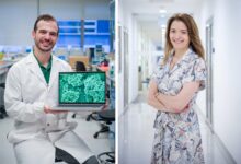 Silencing Bacteria: New Study Reveals Potential Risks for Heart Infections - AppliedHE