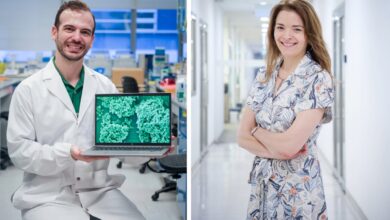 Silencing Bacteria: New Study Reveals Potential Risks for Heart Infections - AppliedHE