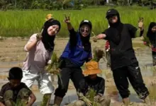 UMS KKN Students Implement International Education Programs in Thailand - AppliedHE