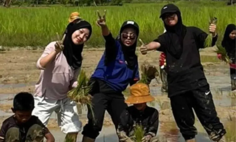 UMS KKN Students Implement International Education Programs in Thailand - AppliedHE