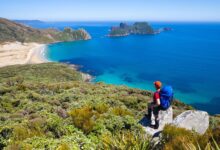 Climate Solutions for New Zealand Elections: A Path Forward for Climate Action - AppliedHE