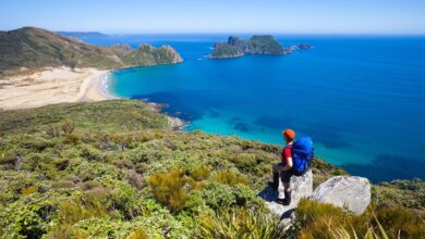 Climate Solutions for New Zealand Elections: A Path Forward for Climate Action - AppliedHE