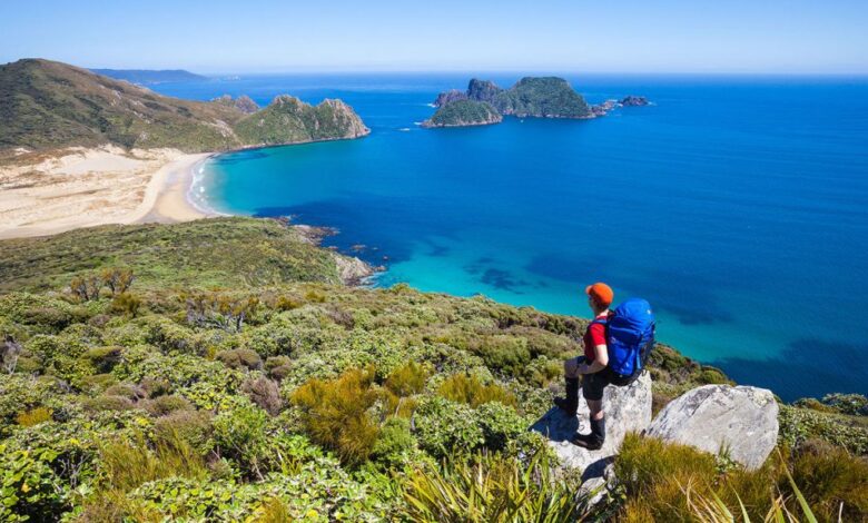 Climate Solutions for New Zealand Elections: A Path Forward for Climate Action - AppliedHE