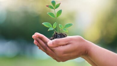 Empowering Women for Enhanced Wildlife Conservation Success - AppliedHE