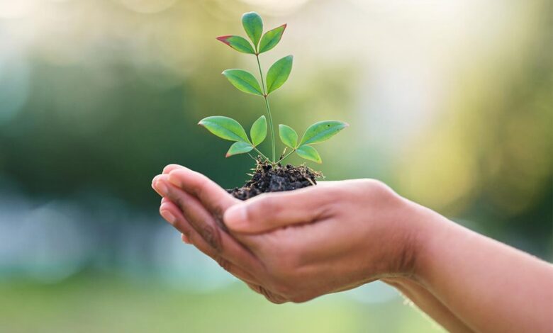 Empowering Women for Enhanced Wildlife Conservation Success - AppliedHE