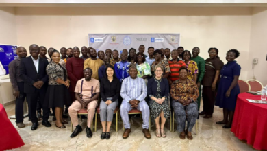 First Gender-Transformative Digital Education Training in Ghana: Empowering Gender Equality in ICT - AppliedHE