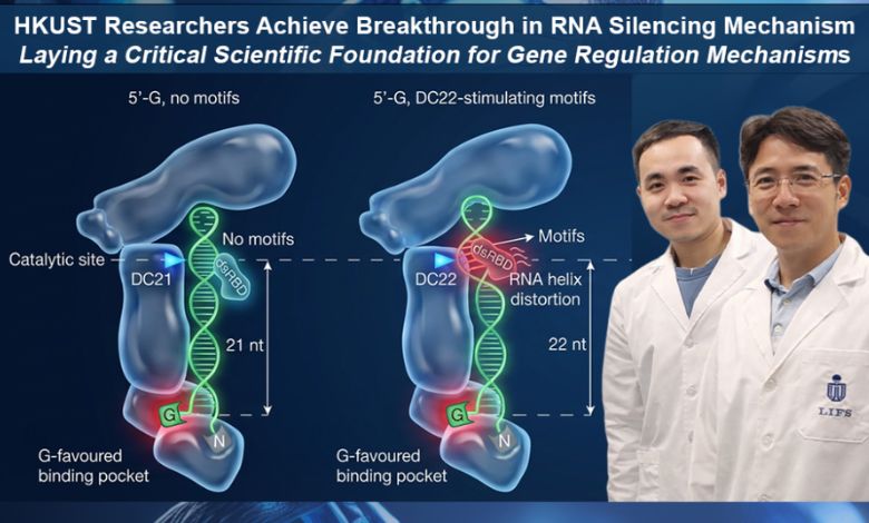 HKUST Researchers Make Groundbreaking Discovery in RNA Silencing Mechanisms for Gene Regulation and Disease Insight - AppliedHE