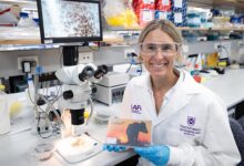 Rapid Testing Methods to Combat Chemical Resistance in Australian Cattle Ticks - AppliedHE