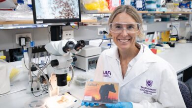 Rapid Testing Methods to Combat Chemical Resistance in Australian Cattle Ticks - AppliedHE