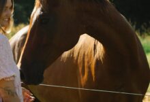 Three Southern Cross University Scholars Honoured on International Women's Day - AppliedHE