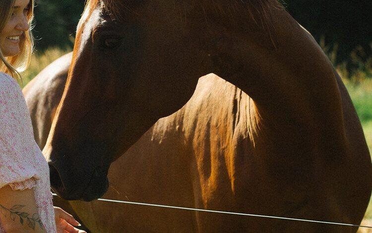Three Southern Cross University Scholars Honoured on International Women's Day - AppliedHE