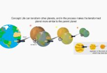 A New Method for Detecting Life Beyond Earth Without Knowing Its Form - AppliedHE