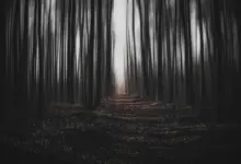 Difficult Times Demand Deeper Understanding of Suffering, New Research Moves Beyond Optimism and Pessimism - AppliedHE