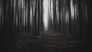 Difficult Times Demand Deeper Understanding of Suffering, New Research Moves Beyond Optimism and Pessimism - AppliedHE