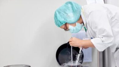 New Study Finds Strong Public Support for Reforming Consent Rules on Frozen Egg Donation for Research - AppliedHE