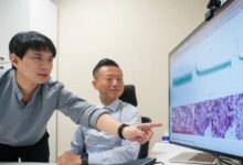 Research Teams Tap Singtel AI Cloud for Advanced AI-Driven Studies - AppliedHE