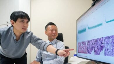 Research Teams Tap Singtel AI Cloud for Advanced AI-Driven Studies - AppliedHE