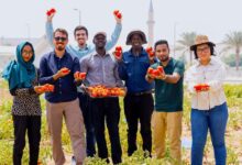 Terraxy Secures $3 Million to Expand Desert Soil Regeneration Technology Across Saudi Arabia - AppliedHE