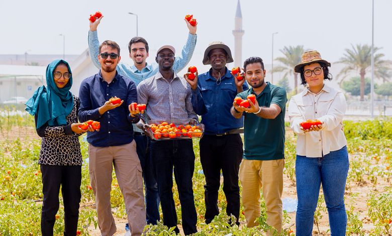 Terraxy Secures $3 Million to Expand Desert Soil Regeneration Technology Across Saudi Arabia - AppliedHE Terraxy Secures $3 Million to Expand Desert Soil Regeneration Technology Across Saudi Arabia - AppliedHE
