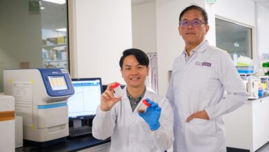 Research Sheds Light on Gut Health’s Impact on Fatty Liver Disease - AppliedHE Research Sheds Light on Gut Health’s Impact on Fatty Liver Disease - AppliedHE