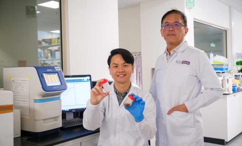 Research Sheds Light on Gut Health’s Impact on Fatty Liver Disease - AppliedHE Research Sheds Light on Gut Health’s Impact on Fatty Liver Disease - AppliedHE