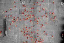 Scientists Identify Consistent Counterclockwise Motion Preference Independent of Culture - AppliedHE