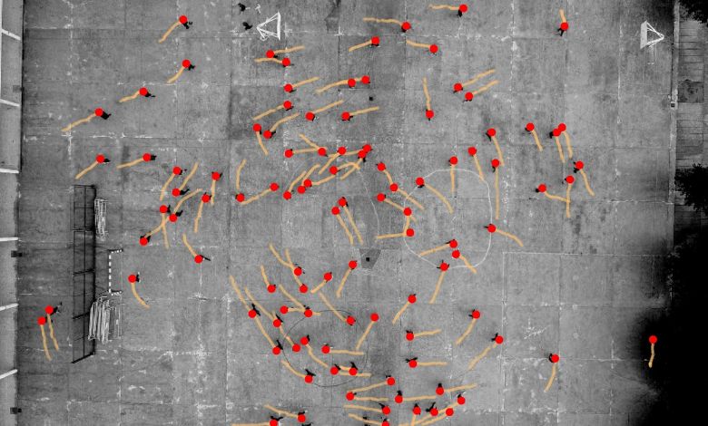 Scientists Identify Consistent Counterclockwise Motion Preference Independent of Culture - AppliedHE