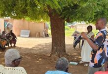 Making Agricultural Knowledge Accessible Through Co-Creation: Insights from Tarisai Kanyepi’s Work - AppliedHE